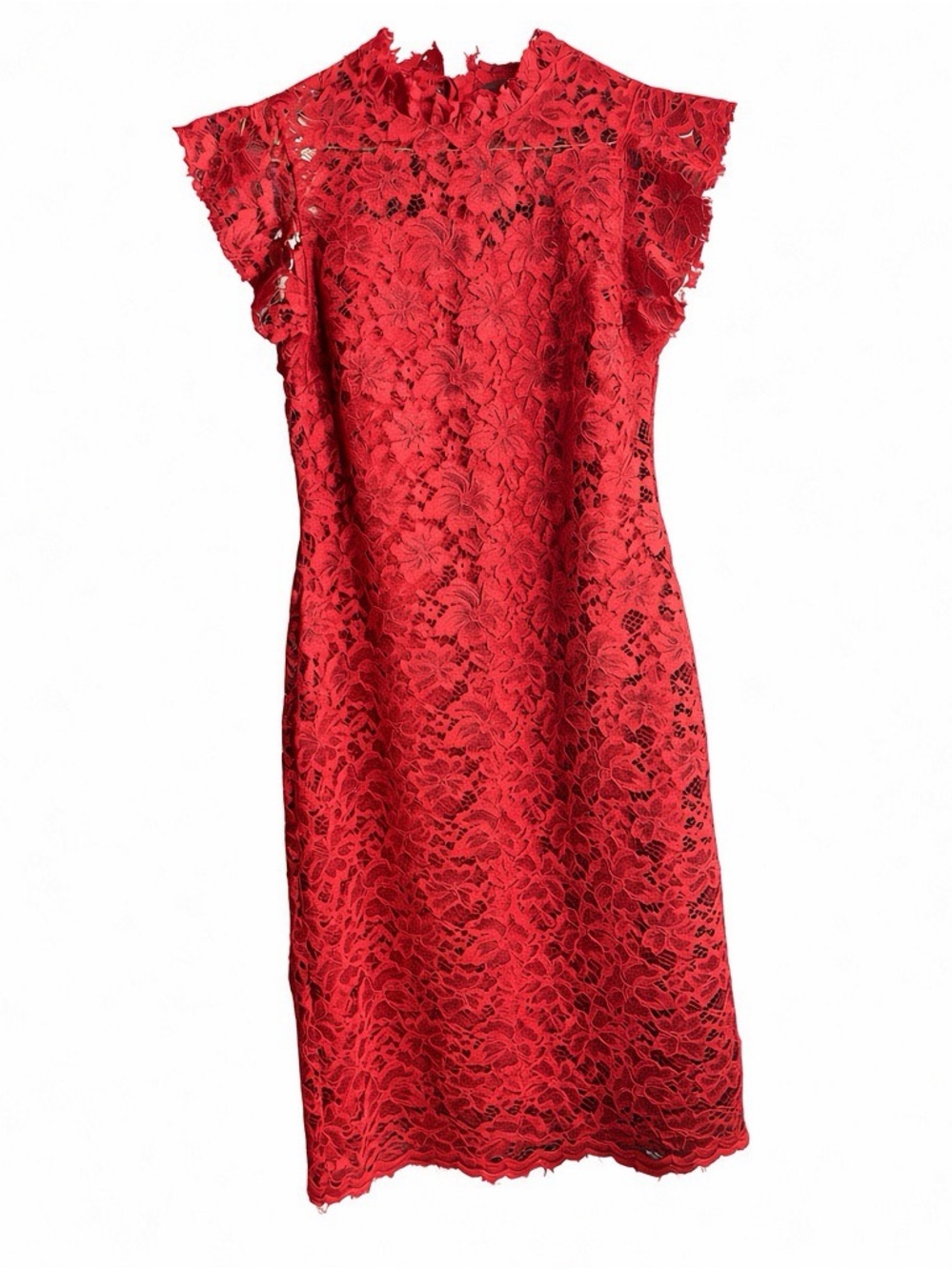 Gorgeous Enfocus Studio lace cocktail dress in rich Garnet deep wine red size 8